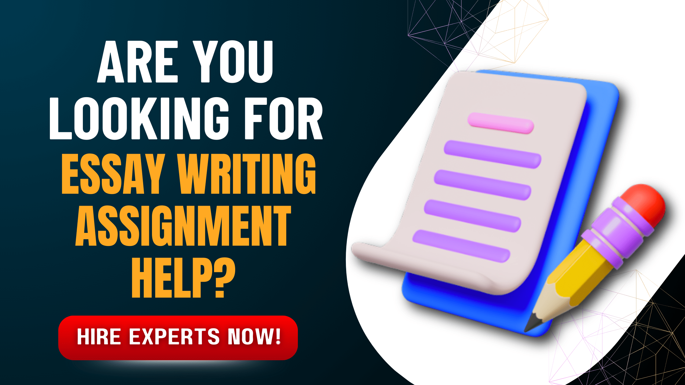 Essay Assignment Help