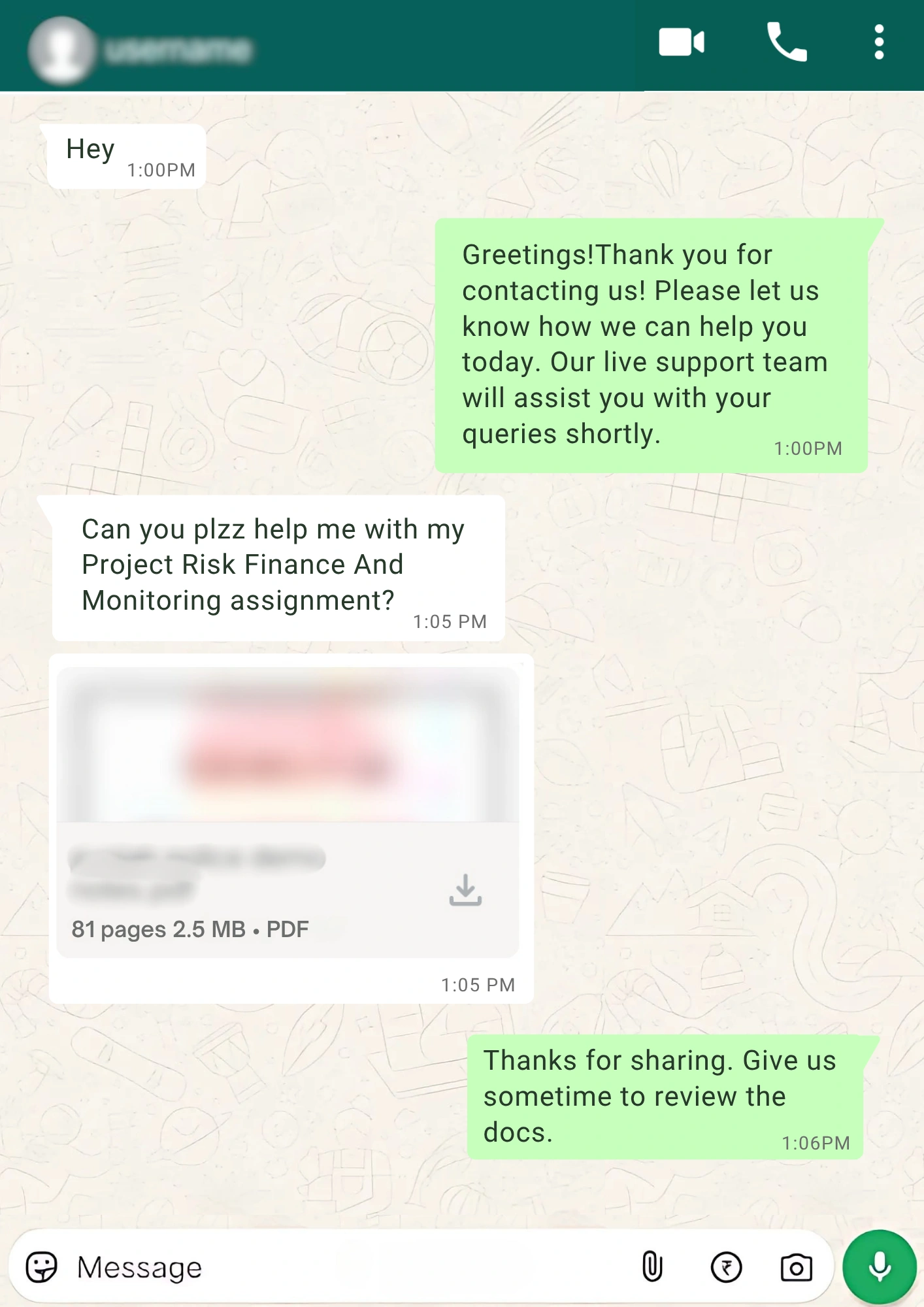 Project Risk Finance And Monitoring