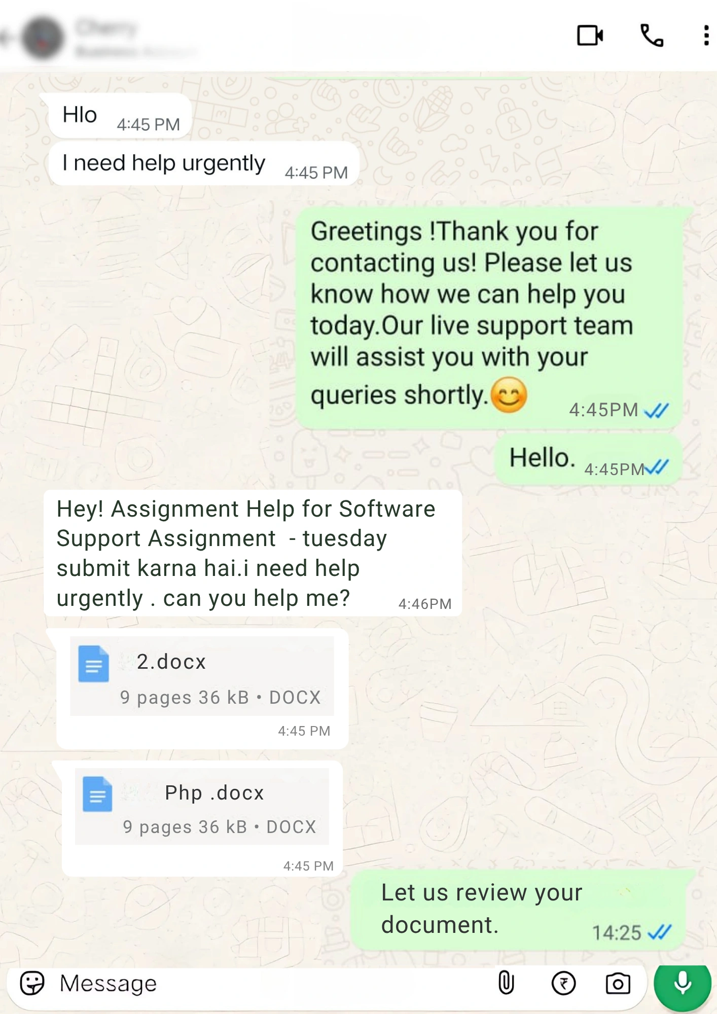 Software Support Assignment help