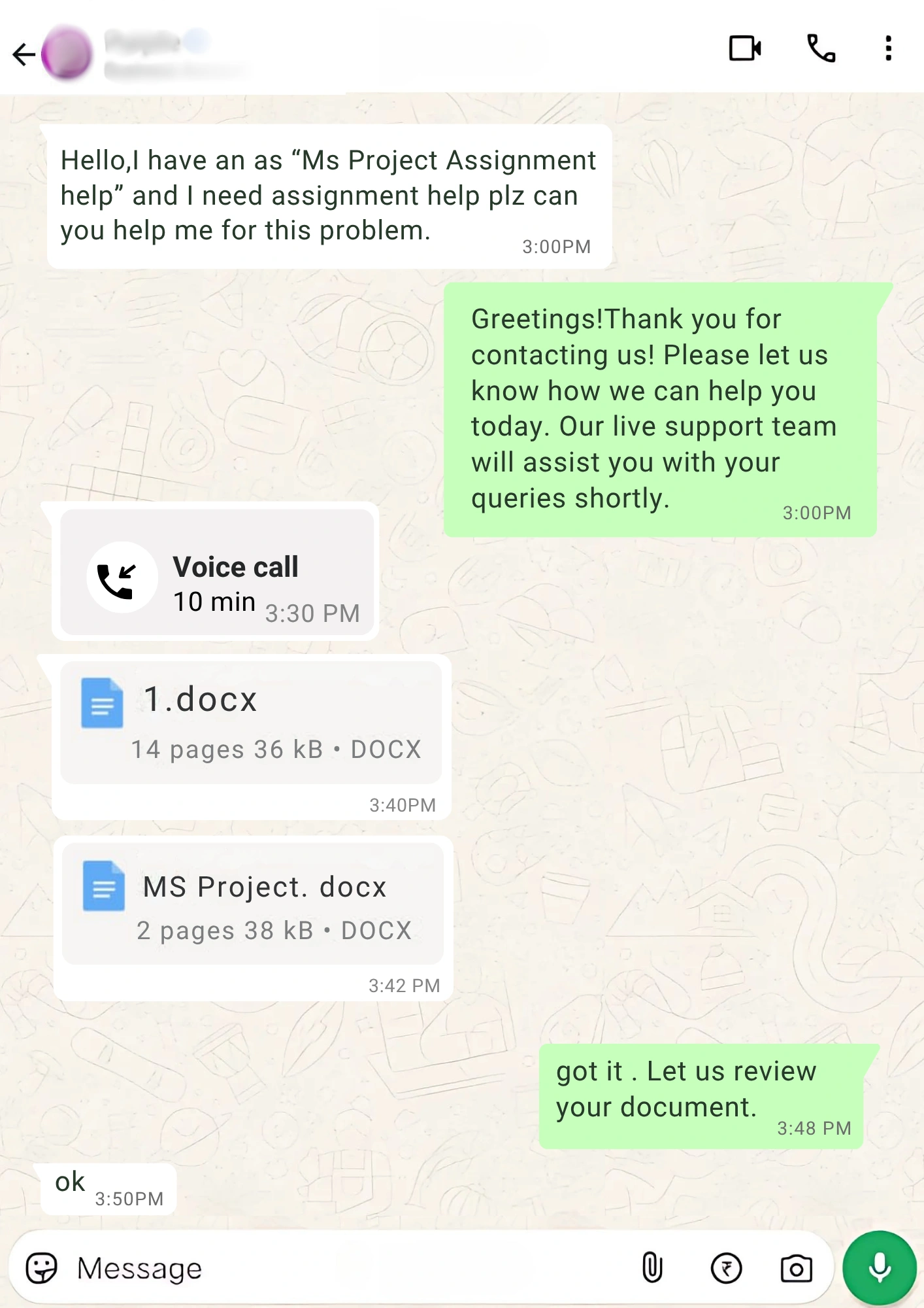 Ms Project Assignment help