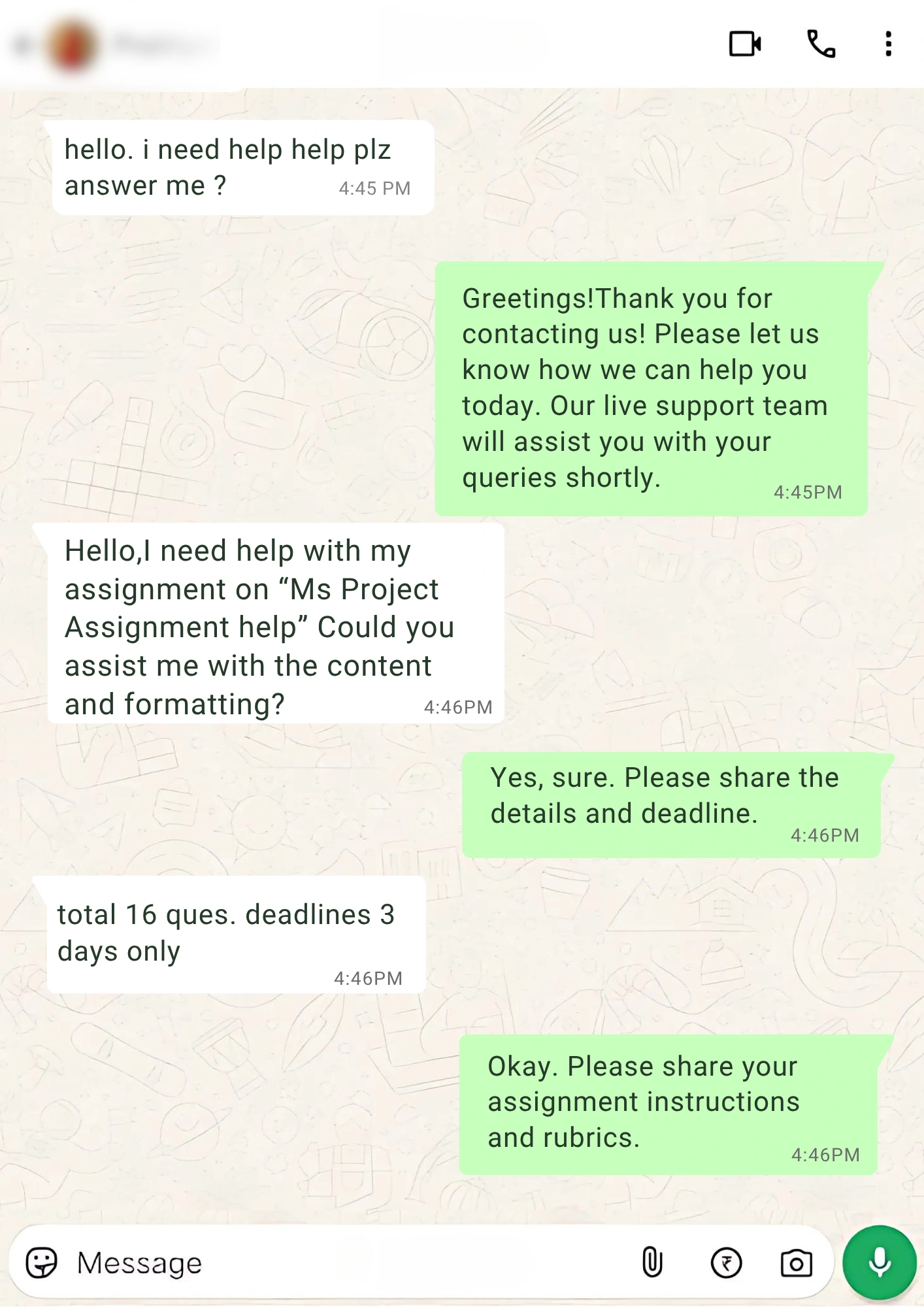 Ms Project Assignment help