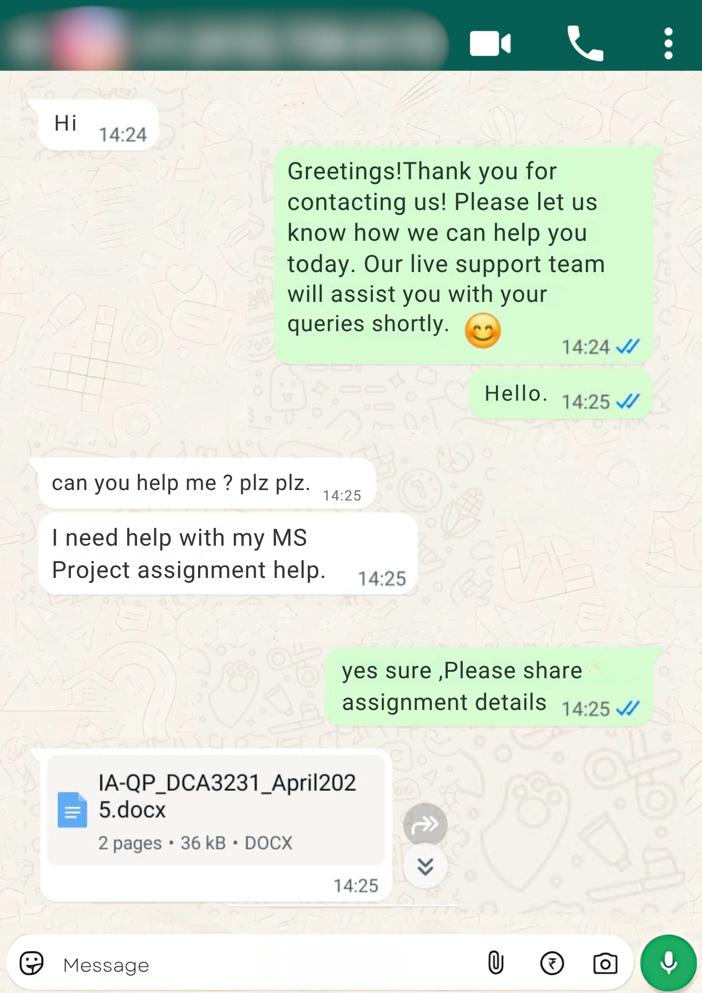 Ms Project Assignment help