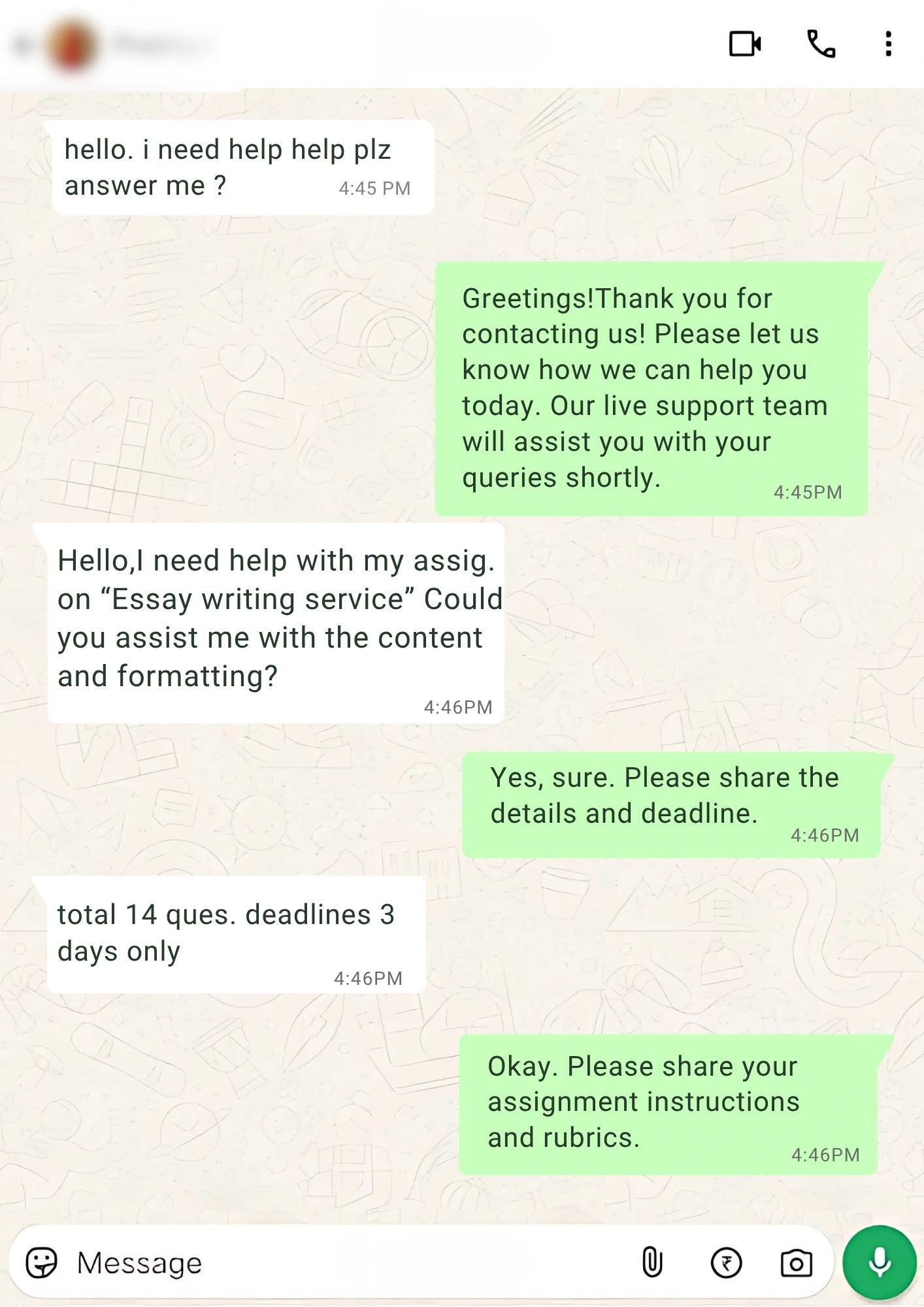 Essay writing service